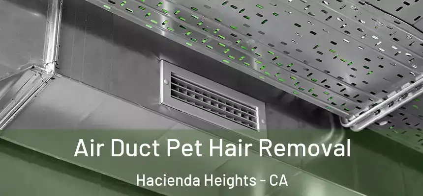  Air Duct Pet Hair Removal Hacienda Heights - CA