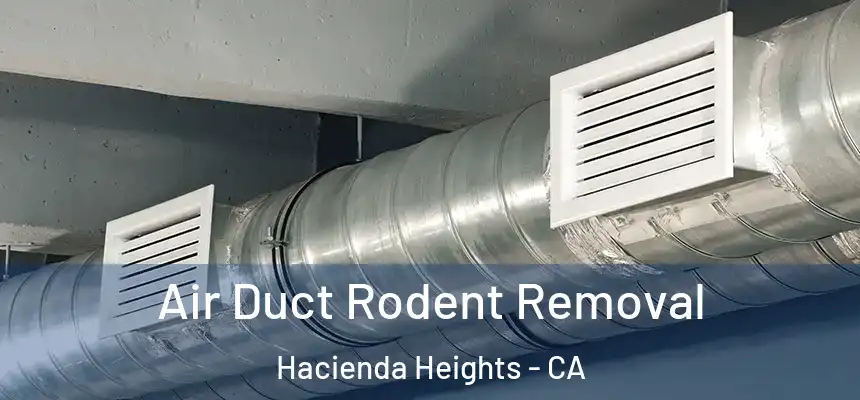 Air Duct Rodent Removal Hacienda Heights - CA