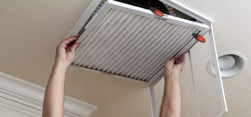 Preventive Cockroach-Proofing for Ducts in Hacienda Heights