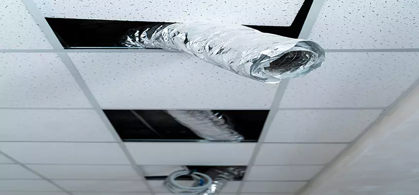 Our Air Duct Pet Hair Removal Services in Hacienda Heights, CA