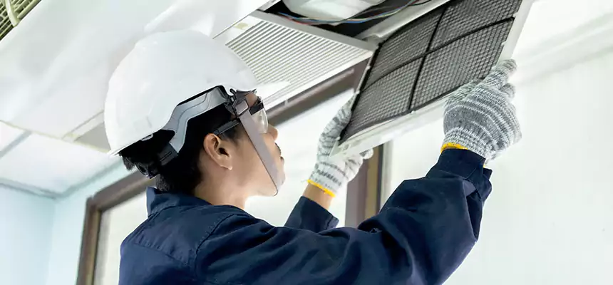 Our Mold & Mildew Removal from Air Ducts Services in Hacienda Heights, CA