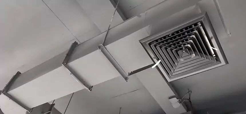 Our Pest Removal From Ducts Services in Hacienda Heights, CA