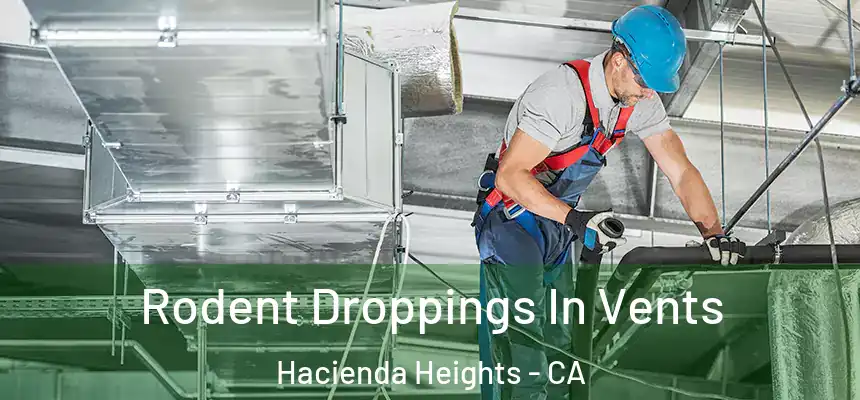  Rodent Droppings In Vents Hacienda Heights - CA