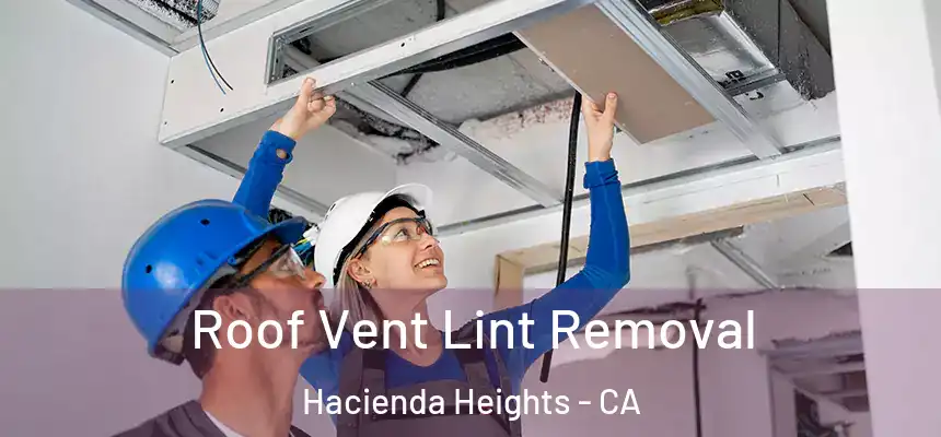  Roof Vent Lint Removal Hacienda Heights - CA