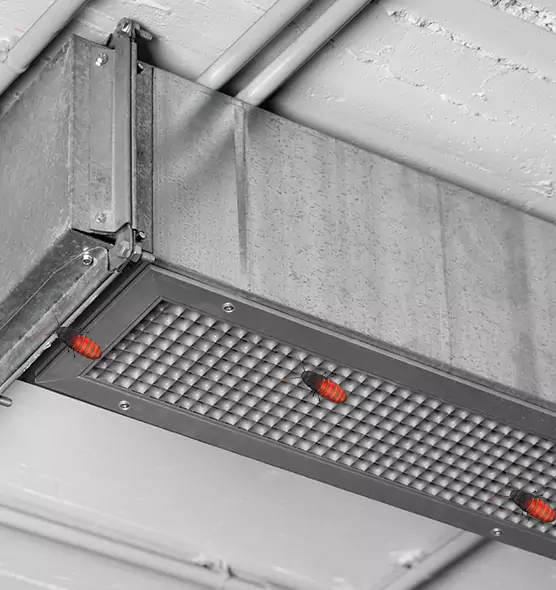 Affordable Insect Removal from Air Ducts in Hacienda Heights, CA