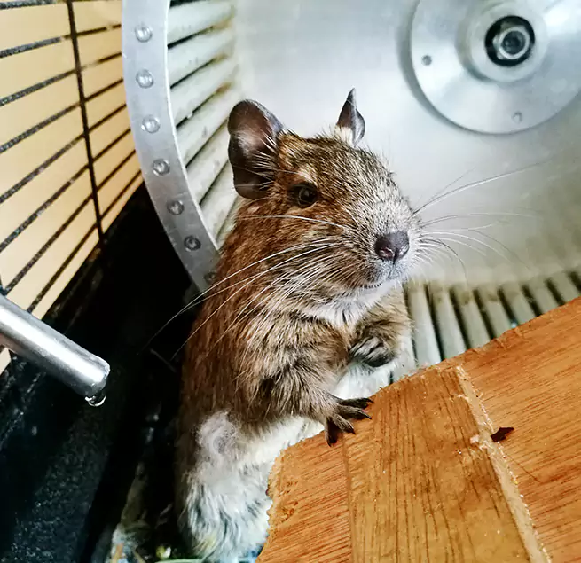 Why Homeowners & Businesses Trust Us Hacienda Heights, CA